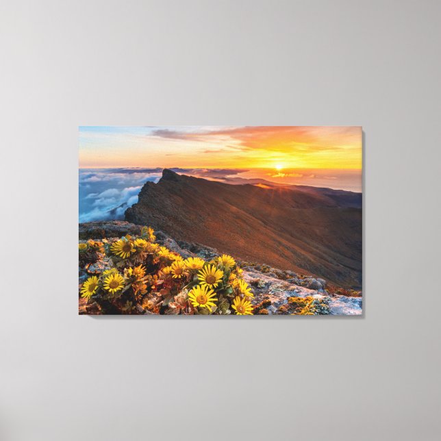 Impressão Em Tela Flores | Ilhas Canárias, Espanha (Frente)