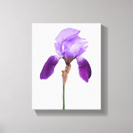 Impressão Em Tela Flores íris roxas glamour floral boho feminino
