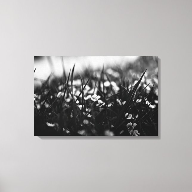 Impressão Em Tela Flores no campo em primavera (Frente)