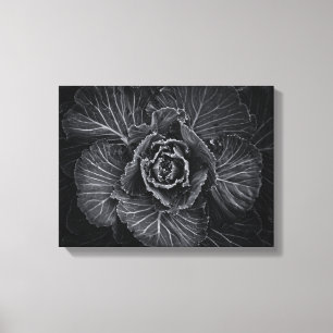 Impressão Em Tela Flores no Quintal em Preto e Branco Nº 108