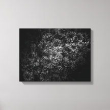 Flores no Quintal em Preto e Branco Nº 29