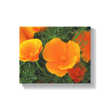 Flores Orange California