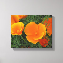 Impressão Em Tela Flores Orange California