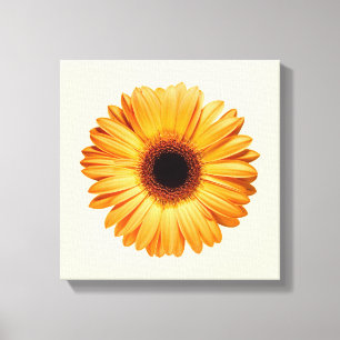 Impressão Em Tela Flores   Orange Gerbera