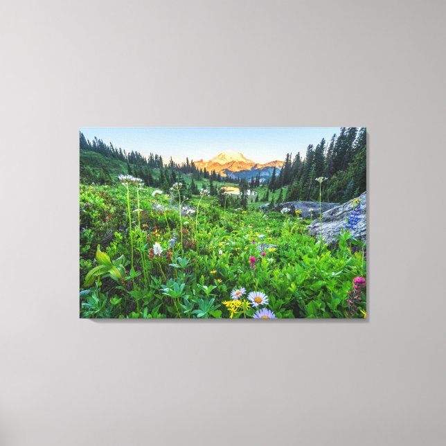 Impressão Em Tela Flores | Parque Nacional Monte Rainier (Frente)