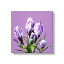 Flores roxas modernas de boho moderno trendam arte