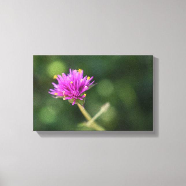 Impressão Em Tela Flores Roxas Verão Natureza Fotografia Floral (Frente)