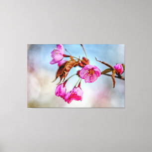Impressão Em Tela Flores Sakura Em Cores Rosa Suaves Em Springtime