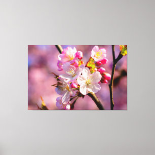 Impressão Em Tela Flores Sakura Frescas No Jardim Em Springtime