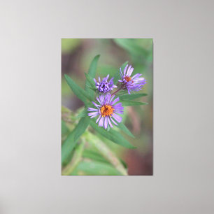 Impressão Em Tela Flores Selvagens Em Roxo