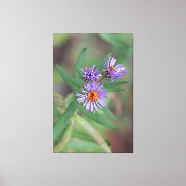 Impressão Em Tela Flores Selvagens Em Roxo (Frente)