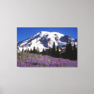 Impressão Em Tela flores silvestres do verão na base do Monte Rainie