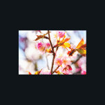 Impressão Em Tela Flores Sunlit Pink Sakura. Cherry Blossoms<br><div class="desc">Uma visão de perto de um polo iluminado pelo sol de flores e botões de sakura, frescos e cor-de-rosa, num galho de árvore. O fundo púrpura, azul, branco, rosa suave do céu nublado e floresce cereja. Uma pintura digital muito grande a partir de uma fotografia. Impressão floral esticada de tela...</div>