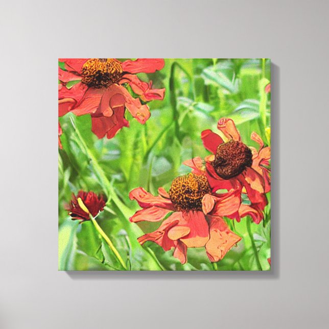 IMPRESSÃO EM TELA FLÔRES VERMELHAS DE RUDBECKIA (Frente)