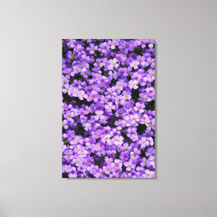 Impressão Em Tela Flores Violetas - Primavera