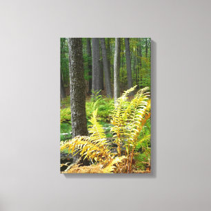 Impressão Em Tela Floresta (12 x 18)
