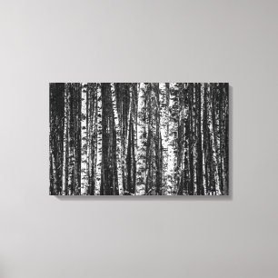 Impressão Em Tela Floresta abstrata preto e branco do vidoeiro