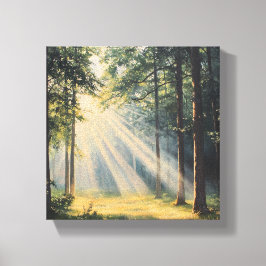 Impressão Em Tela Floresta balnear à luz do sol