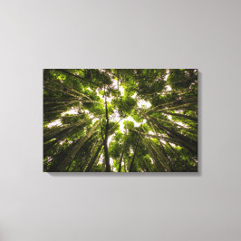 Impressão Em Tela Floresta Bamboo