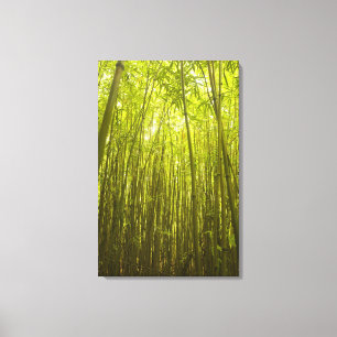 Impressão Em Tela Floresta de bambu perto da Trilha Waikamoi Ridge, 