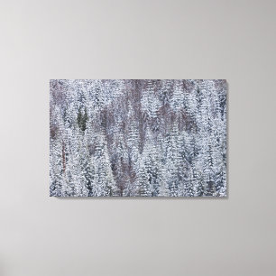 Impressão Em Tela Floresta Neve, Parque Nacional do Monte Rainier