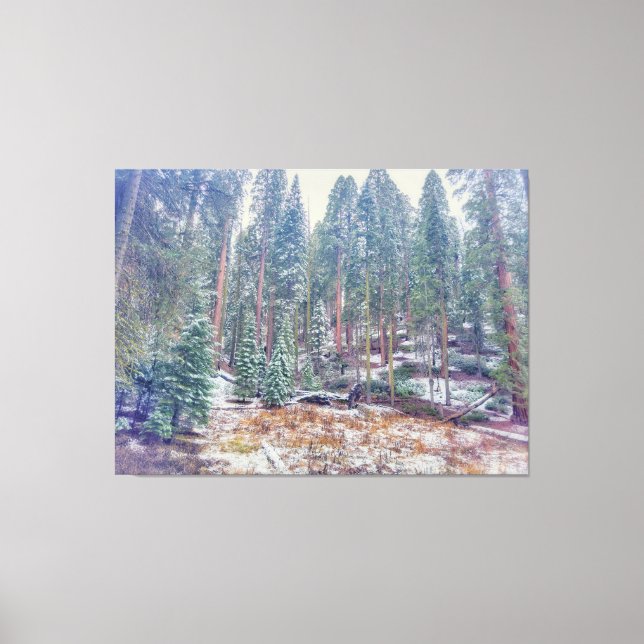 Impressão Em Tela Floresta no inverno (Frente)