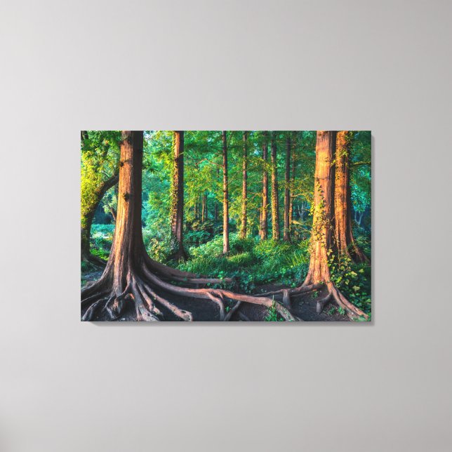 Impressão Em Tela Floresta no Verão (Frente)