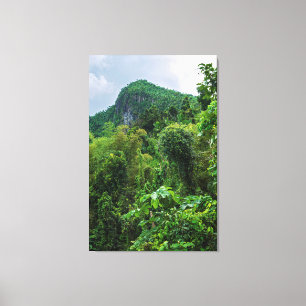 Impressão Em Tela Floresta tropical luxuriante e pico el yunque