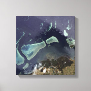 Impressão Em Tela Floresta verde profunda em terra