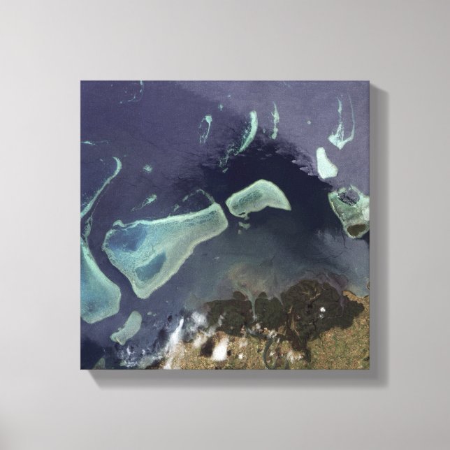 Impressão Em Tela Floresta verde profunda em terra (Frente)