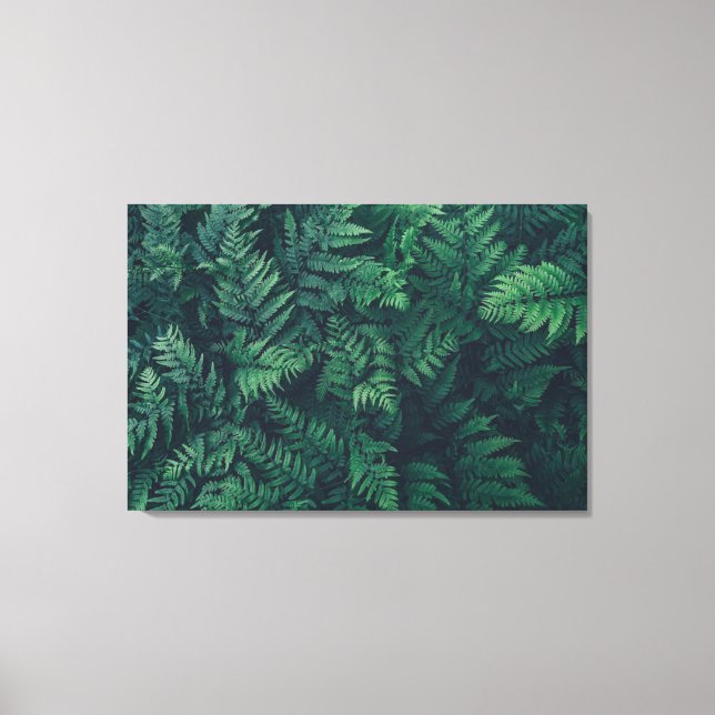 Impressão Em Tela Florestas | Ferns De Madeira (Frente)
