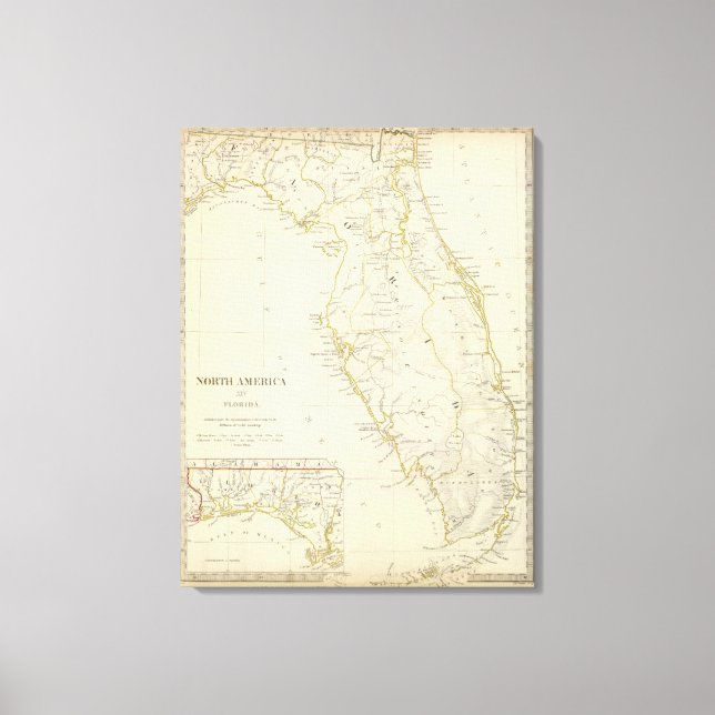 Impressão Em Tela Flórida 11 (Frente)