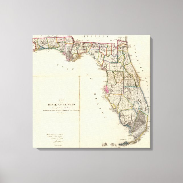 Impressão Em Tela Flórida 9 (Frente)