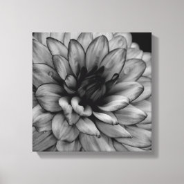 Impressão Em Tela Flower Dahlia
