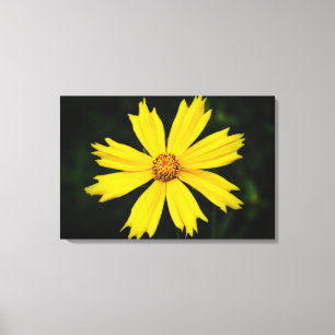 Impressão Em Tela Flower do Cosmos Amarelo Fechamento 2