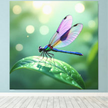 Flügel aus Licht – Die Libelle