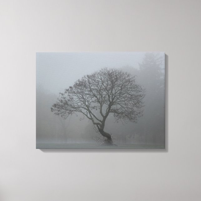 Impressão Em Tela Foggy Tree (Frente)