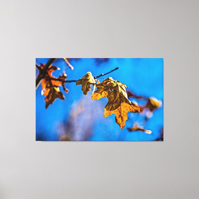 Impressão Em Tela Folha de carvalho seca - Primavera nem longe (Frente)
