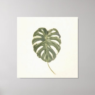 Impressão Em Tela Folha de Monstera Variegada Minimalista Creme Vint