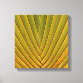 Impressão Em Tela Folha de Palm