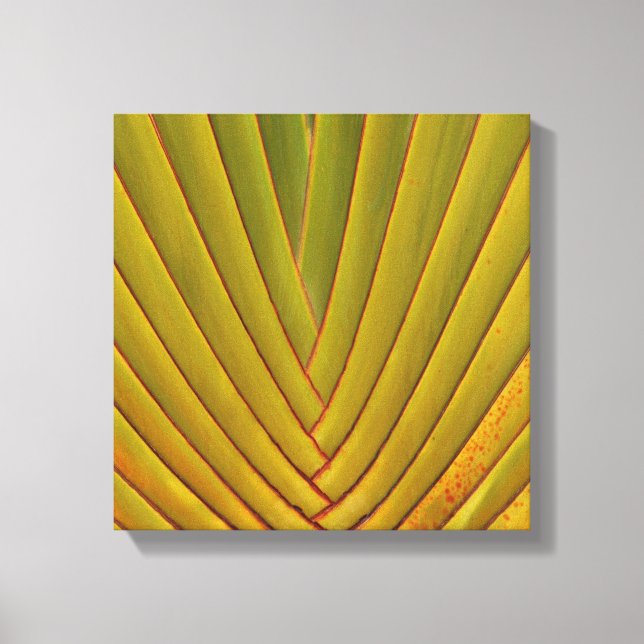 Impressão Em Tela Folha de Palm (Frente)