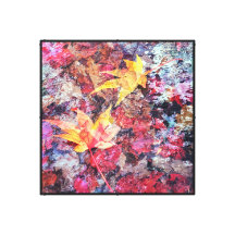 Folha Vermelha Caindo Folhas na Água