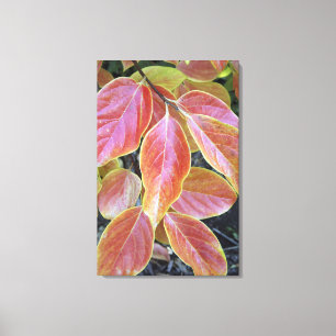 Impressão Em Tela Folhagem de outono, folhas de outono de uma Calif