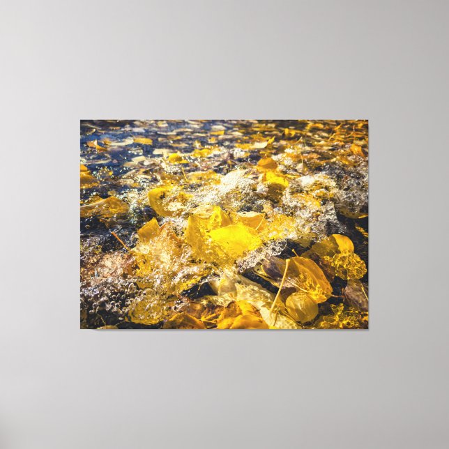 Impressão Em Tela Folhas caídas na água (Frente)