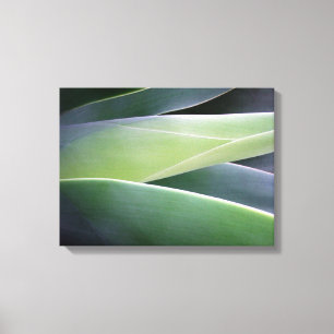 Impressão Em Tela Folhas da agave