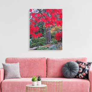 Impressão Em Tela Folhas de Bordo Vermelhas em um Jardim Japonês