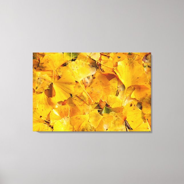 Impressão Em Tela Folhas de Ginkgo Biloba (Frente)