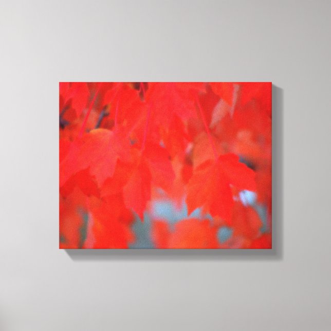 Impressão Em Tela Folhas de Mapeamento Vermelho no outono (Frente)