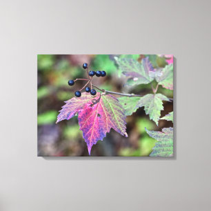 Impressão Em Tela Folhas de outono e Berries do Mapleleaf Viburnum