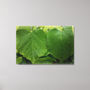 Impressão Em Tela folhas do gêmeo